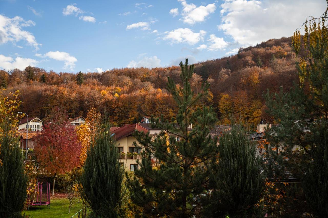Jungle Family Villa Near Park Aventura,Lake,Zoo Brașov Exterior foto